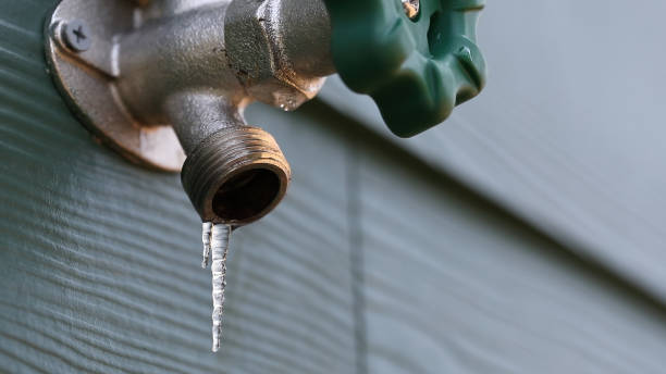 Best Commercial Plumbing Services  in Jasper, FL